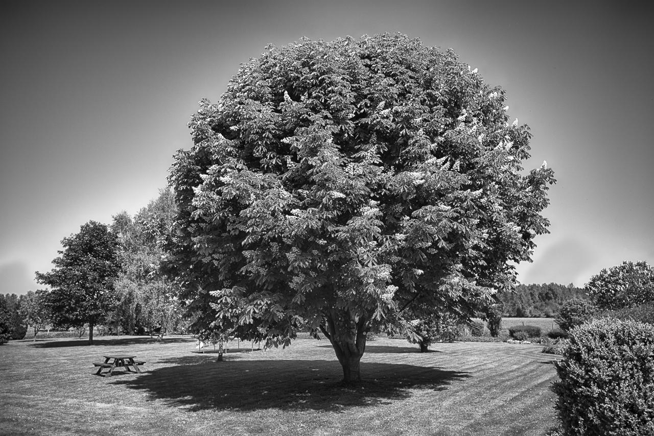 Au Jardin Fleuri Vauxaillon Exterior foto