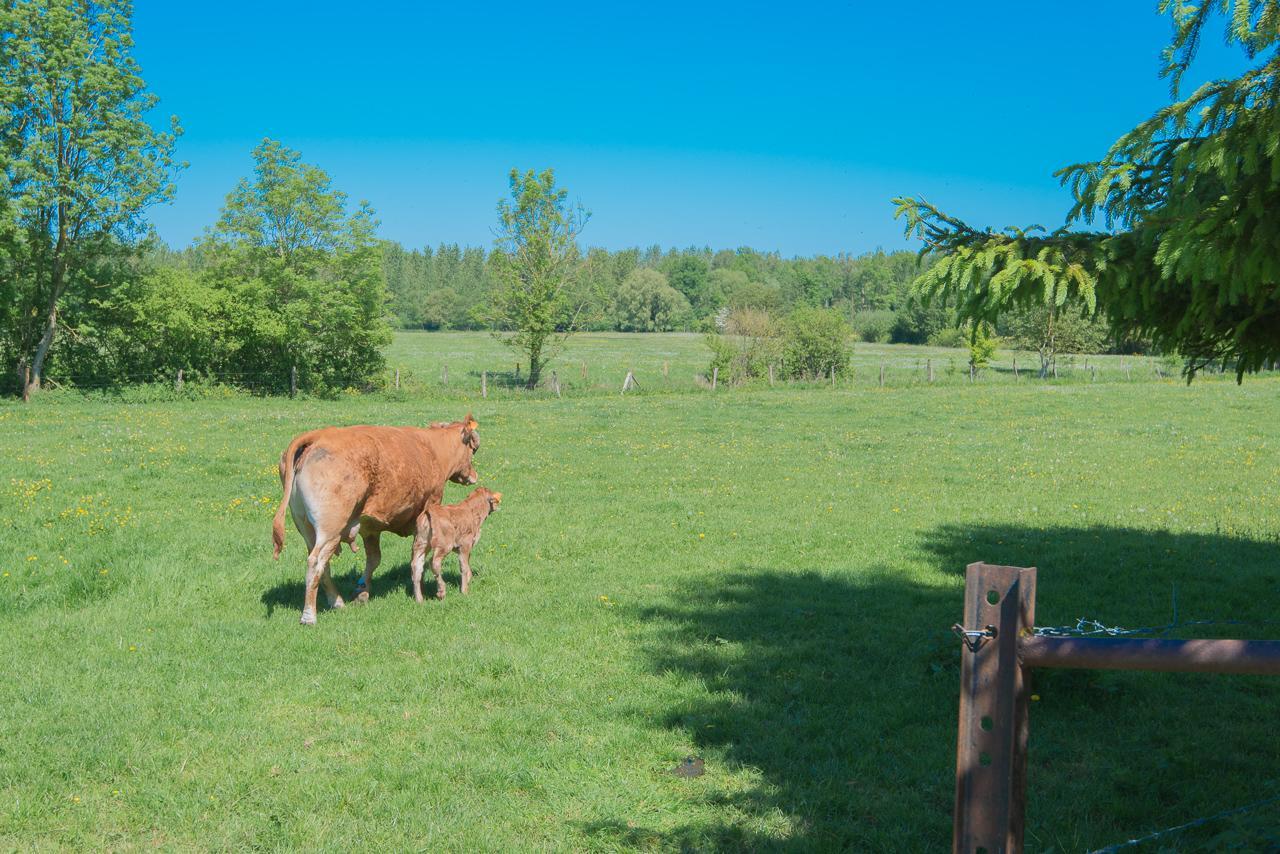 Au Jardin Fleuri Vauxaillon Exterior foto